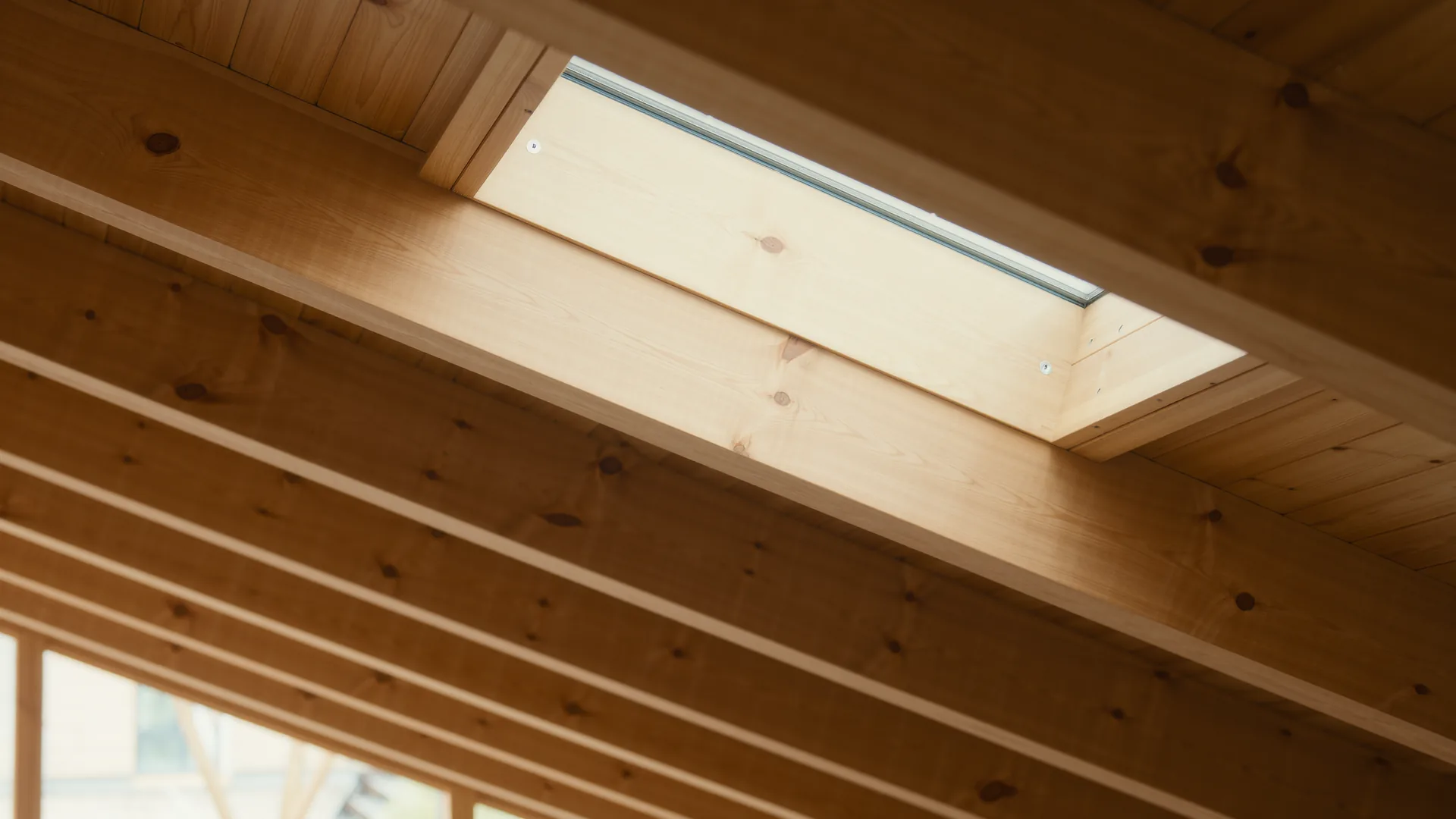 Dachstuhl aus hellem Holz von innen, Licht fällt durch ein Dachfenster